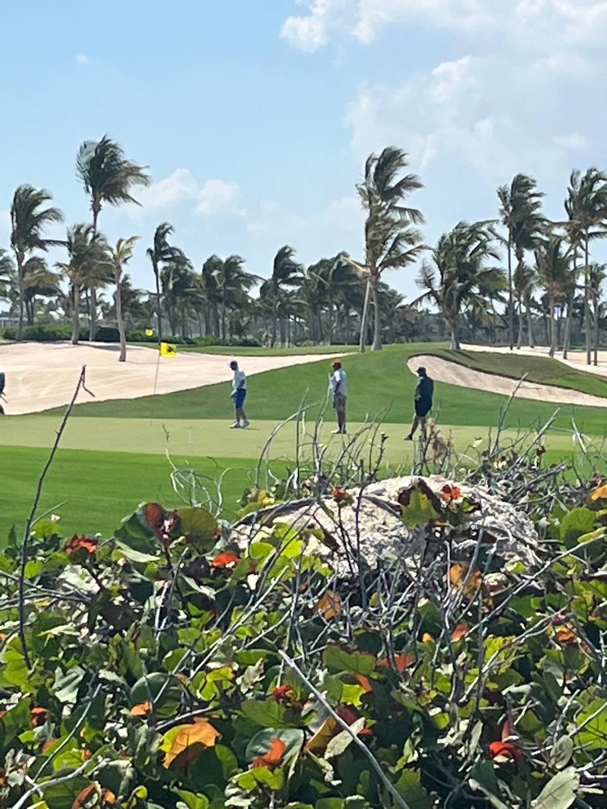Golf on the island