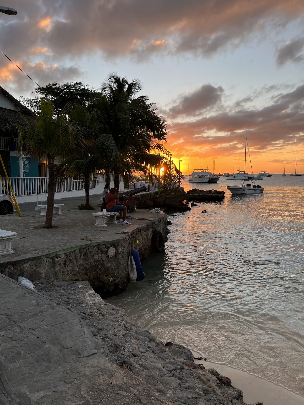 Sunset over the waterfront with palms and boats